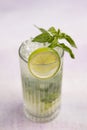 Mojito cocktail alcohol bar long drink traditional Cuba fresh tropical beverage top view copy space two highball glass, with rum, Royalty Free Stock Photo