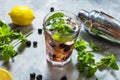 Mojito cocktail with blackberry and mint in highball glass on rustic concrete background