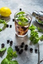 Mojito cocktail with blackberry and mint in highball glass on rustic concrete background