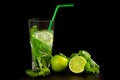 Mojito cocktail drink with fresh mint and lime on a dark background Royalty Free Stock Photo