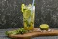 Mojito cocktail drink with lime and mint on dark background with copy space Royalty Free Stock Photo