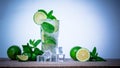Mojito cocktail with fresh lime, mint leaves and ice cubes in a transparent glass Royalty Free Stock Photo