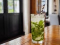 Mojito cocktail with fresh mint leaves and ice cubes in a highball glass with copy space