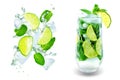Mojito cocktail with fresh mint leaves and lime slice isolated Royalty Free Stock Photo