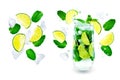 Mojito cocktail with fresh mint leaves and lime slice isolated Royalty Free Stock Photo