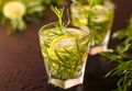Mojito cocktail with fresh tarragon