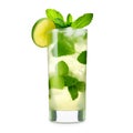 Mojito cocktail, garnished with fresh mint and a slice of lime in a tall glass Royalty Free Stock Photo