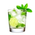 Mojito cocktail, garnished with fresh mint and a slice of lime in a tall glass