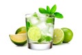 Mojito cocktail, garnished with fresh mint and a slice of lime in a tall glass