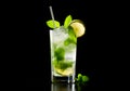 Mojito cocktail, garnished with fresh mint and a slice of lime in a tall glass