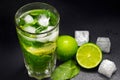 Mojito cocktail with ice, fresh mint and lime on a dark background, close-up. A refreshing summer drink Royalty Free Stock Photo