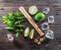 Mojito cocktail ingredients