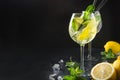 Mojito cocktail or lemonade with lime and mint in glass on black. Summer drink Royalty Free Stock Photo