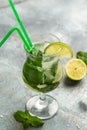 Mojito cocktail with lime and mint in highball glass on gray background vertical image. place for text Royalty Free Stock Photo