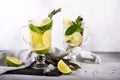 Mojito cocktail with lime and mint in highball glass on a grey stone background Copy space Royalty Free Stock Photo