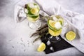 Mojito cocktail with lime and mint in highball glass on a grey stone background Copy space Royalty Free Stock Photo