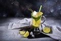 Mojito cocktail with lime and mint in highball glass on a grey stone background Copy space Royalty Free Stock Photo