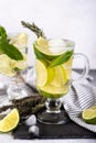 Mojito cocktail with lime and mint in highball glass on a grey stone background Copy space Royalty Free Stock Photo