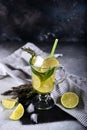 Mojito cocktail with lime and mint in highball glass on a grey stone background Copy space Royalty Free Stock Photo