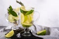 Mojito cocktail with lime and mint in highball glass on a grey stone background Copy space Royalty Free Stock Photo