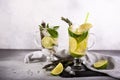 Mojito cocktail with lime and mint in highball glass on a grey stone background Copy space Royalty Free Stock Photo