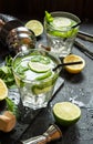 Mojito cocktail with lime and mint in highball glass on a stone table. Drink making tools and ingredients for cocktail Royalty Free Stock Photo