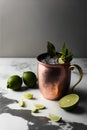 Mojito cocktail with lime, mint and ice in copper mugle background