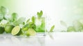 Mojito cocktail with lime, mint and ice on white background