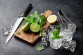 Mojito cocktail making Royalty Free Stock Photo