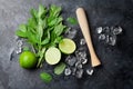 Mojito cocktail making Royalty Free Stock Photo