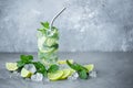 mojito cocktail with mint, lime and ice in a tall glass Royalty Free Stock Photo