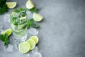 mojito cocktail with mint, lime and ice in a tall glass Royalty Free Stock Photo