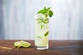 mojito cocktail with muddled mint leaves and lime Royalty Free Stock Photo