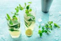 Mojito cocktail. Summer cold drink with lime, fresh mint, and ice. Cool beverage Royalty Free Stock Photo