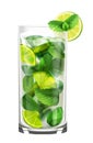 Mojito cocktail in tall glass
