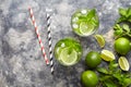 Mojito cocktail traditional Cuba travel vacation drink with rum, ice, mint, lime slices in highball glass Royalty Free Stock Photo