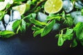 Mojito coctail ingredients with fresh mint leaves and lime slices on a black background Royalty Free Stock Photo