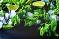 Mojito coctail ingredients with fresh mint leaves and lime slices on a black background Royalty Free Stock Photo