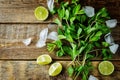 Mojito coctail ingredients with fresh mint leaves and lime slices on a wood background Royalty Free Stock Photo