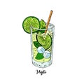 Mojito Contemporary Classic cocktail. Longdrink. Fresh lemonad soda summer drink.