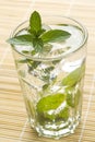 Mojito cool cuban cocktail ice lime mint