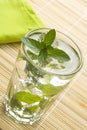 Mojito cool cuban cocktail ice lime mint