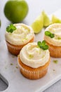 Mojito cupcakes with lime and coconut garnished with mint Royalty Free Stock Photo