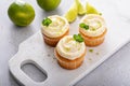 Mojito cupcakes with lime and coconut garnished with mint Royalty Free Stock Photo