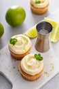 Mojito cupcakes with lime and coconut garnished with mint Royalty Free Stock Photo