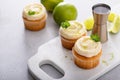 Mojito cupcakes with lime and coconut garnished with mint Royalty Free Stock Photo