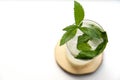 Mojito with fresh mint sprig garnish Royalty Free Stock Photo