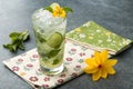 Mojito Glass with Lime Slice Royalty Free Stock Photo