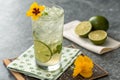 Mojito Glass with Lime Slice Royalty Free Stock Photo