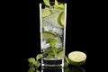 Mojito Glass Silhouette Elegance